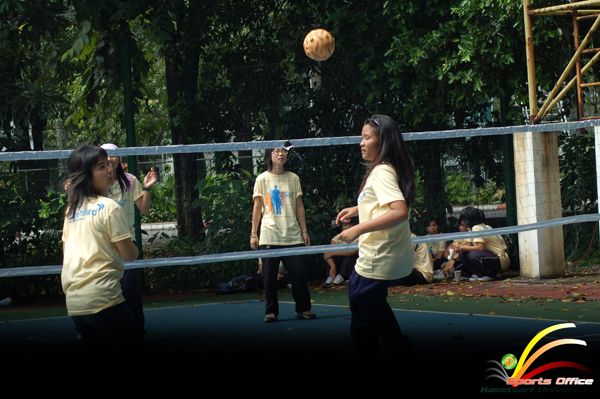 thaisports (1179)